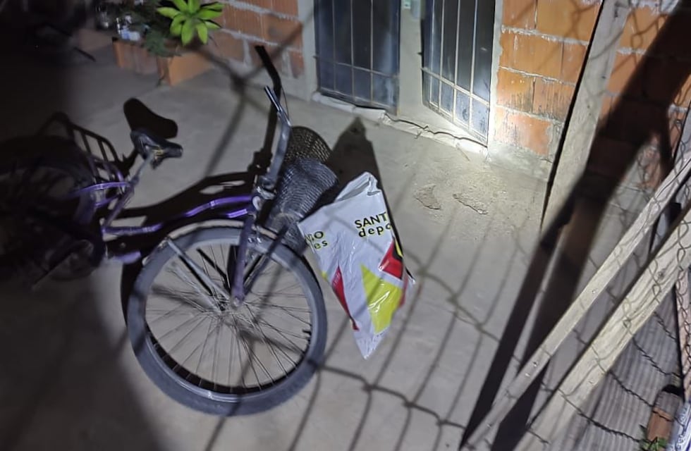 GUR y Centro de Monitoreo intervinieron en la detención de un ladrón