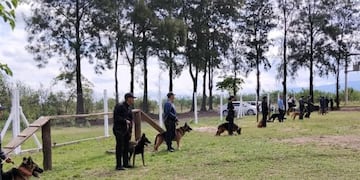 La segunda edición del programa capacita a efectivos en manejo, cuidados y técnicas de adiestramiento profesional.