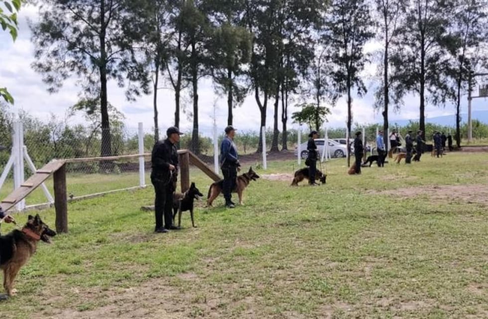 Capacitación policial: los canes, aliados estratégicos en seguridad