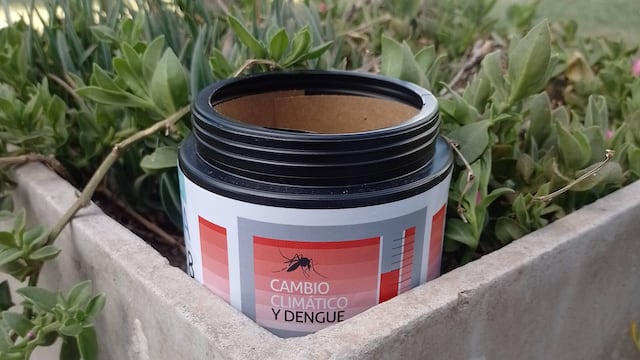 Una serie de recomendaciones para eliminar posibles criaderos de mosquitos de dengue, la principal medida de lucha.