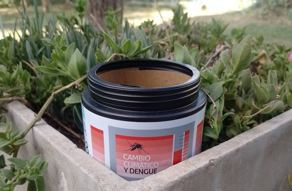 Calor y lluvias en Córdoba: cómo eliminar posibles criaderos de mosquitos de dengue