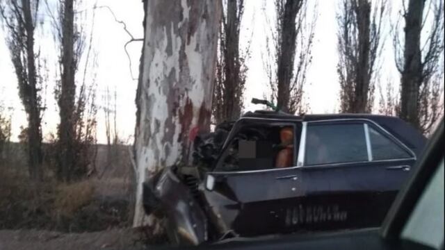 Chocó contra un árbol en Guaymallén.