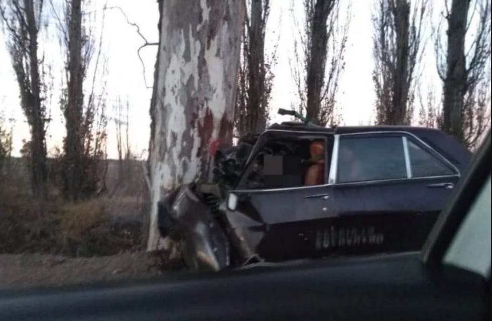 Chocó contra un árbol, se fugó y dejó a su acompañante herido en el auto