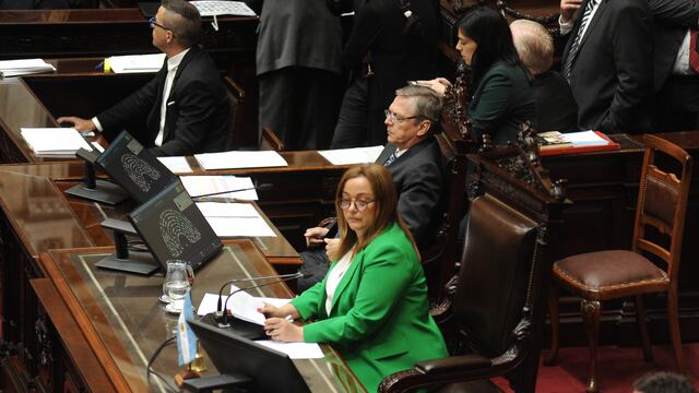 Cecilia Moreau, titular de la Cámara de Diputados. 
Foto Federico Lopez Claro