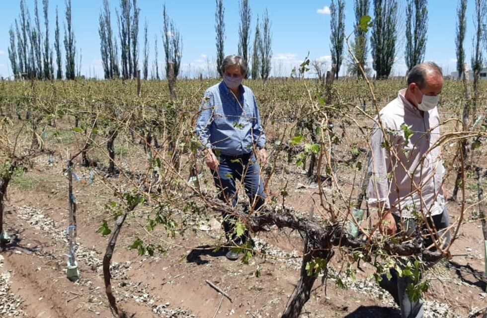 Félix recorrió fincas arrasadas por la tormenta de ayer