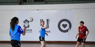 El DT de la Selección Argentina de handball dictará una clínica en Ushuaia