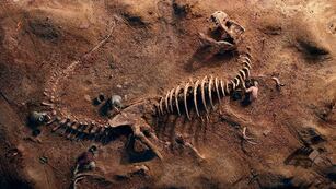 Encontraron fósiles de dinosaurios en Chos Malal (la imagen es a modo ilustrativo).