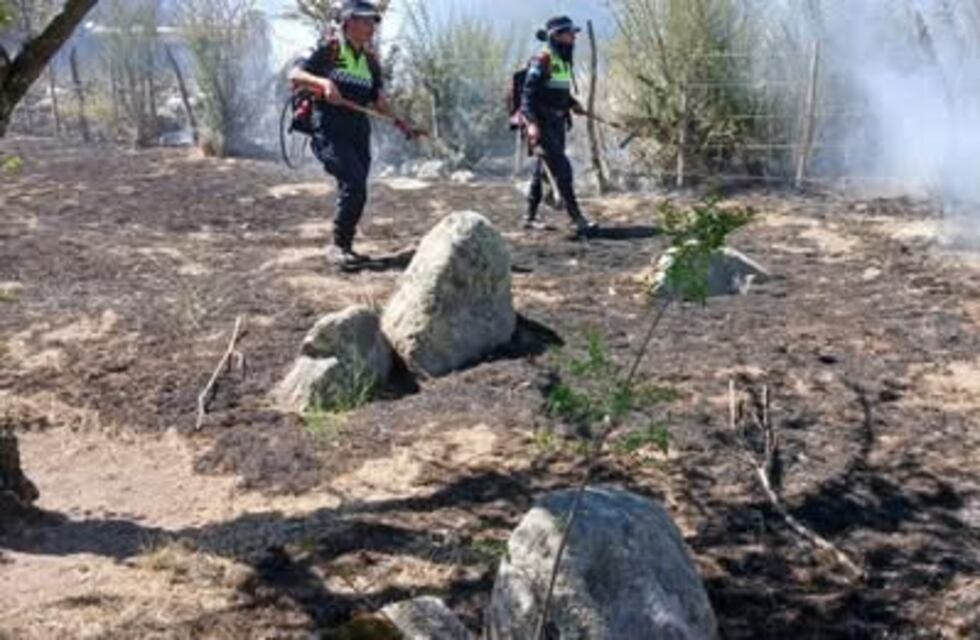 Un operativo conjunto controló un incendio en Tafí del Valle
