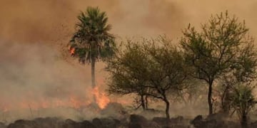 Los Esteros del Iberá cuentan con dos focos activos y están bajo alerta.