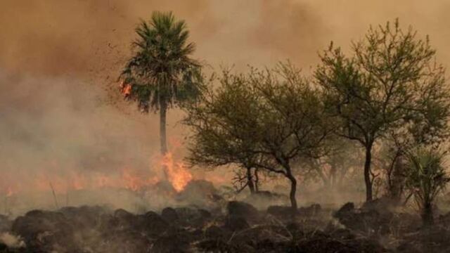 Incendios en Corrientes: este jueves se volvieron a activar los focos de incendios en nueve localidades. (Imagen ilustrativa).