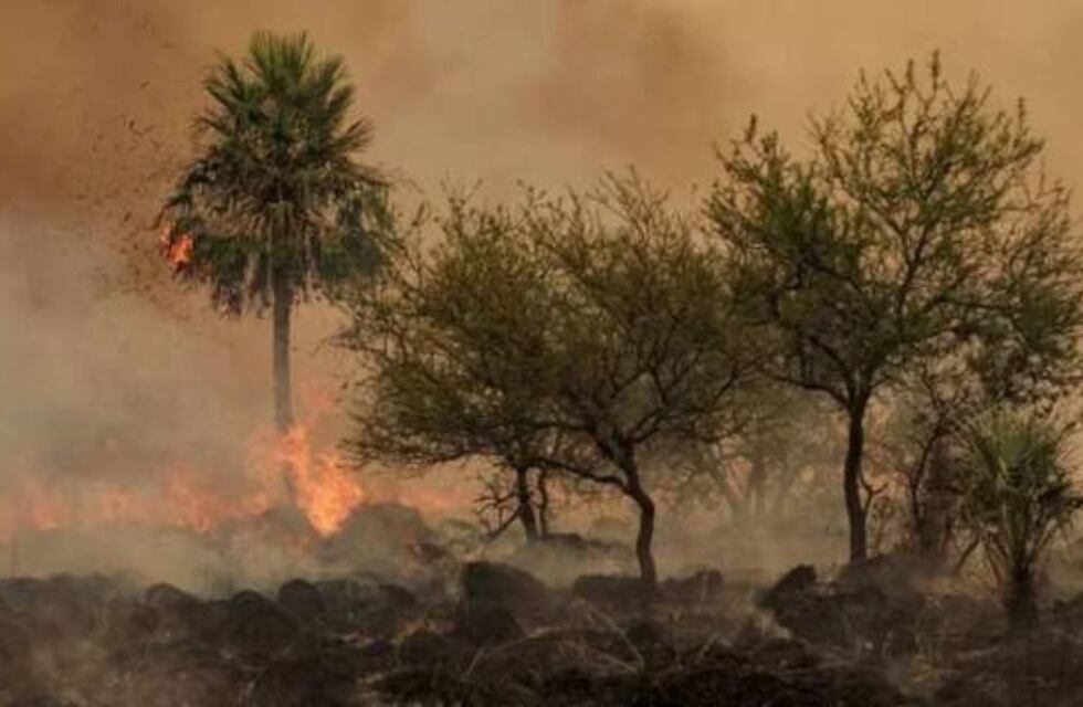 Corrientes en alerta: la provincia registró 20 focos de incendio en 9 localidades