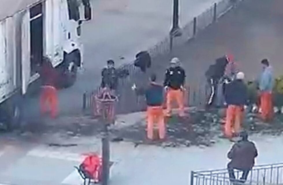 Video: el pasamanos entre siete empleados municipales para colocar plantines en Plaza Colón