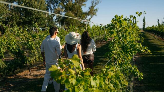 Viñedos de Gualeguaychú
