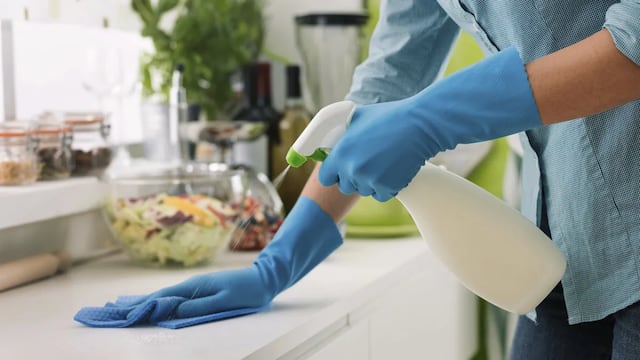 Sueldos de empleo doméstico en febrero.