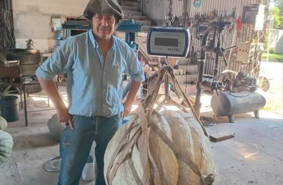 Cosechó un zapallo que pesa más de 110 kilos en Córdoba y reveló el secreto para lograrlo