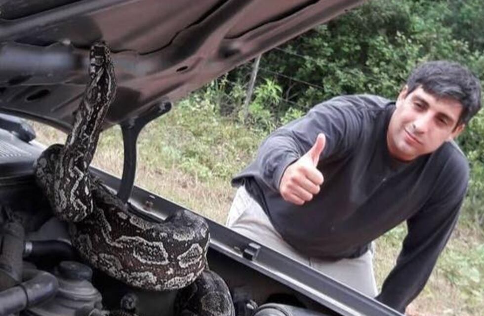 Un intendente salteño encontró una serpiente bajo el capó de su auto
