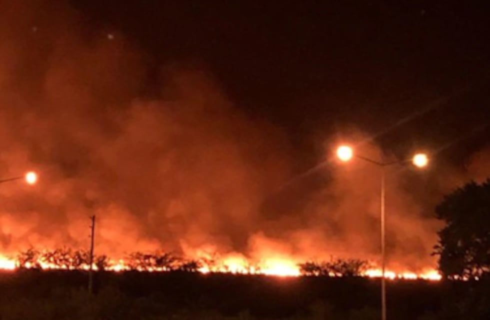 Campana: las imágenes del incendio en el Parque Nacional Ciervo de los Pantanos