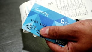El Gobierno hizo oficial el aumento de la Tarjeta Alimentar. Foto: Vía País