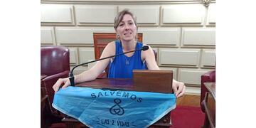 Escándalo porque la diputada por Santa Fe, Natalia Armas Belavi, participó de una sesión en su auto (Facebook).