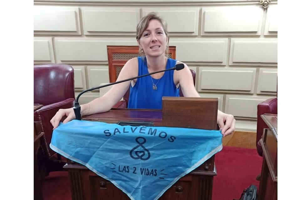 Natalia Armas Belavi, diputada de Santa Fe, participó de una sesión desde su auto y piden sanciones