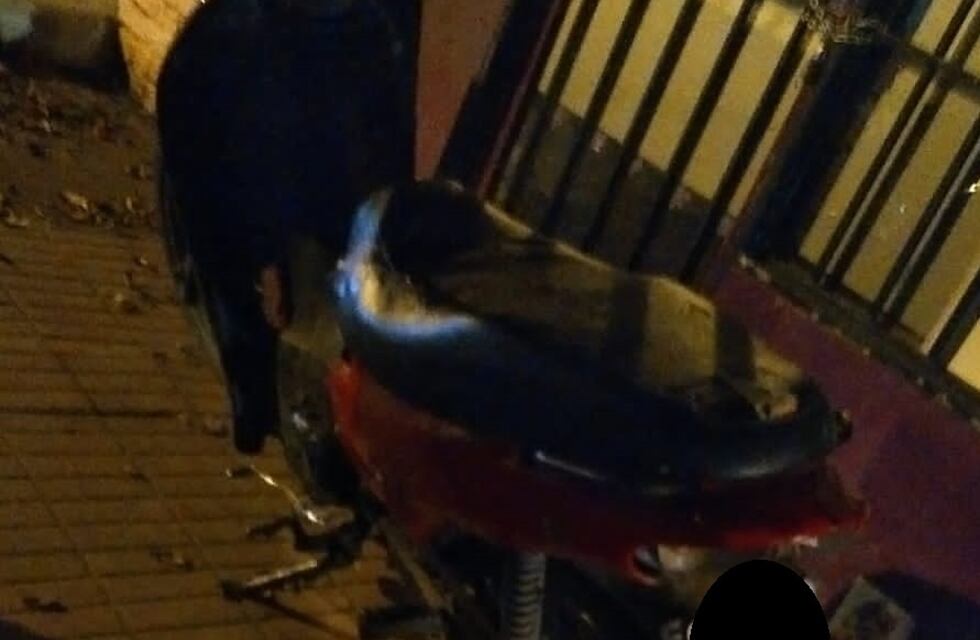 Se robaron una moto de un salón de fiestas pero pudieron dar con ella