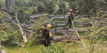 Combatientes luchan por sofocar un nuevo incendio en la ruta 23