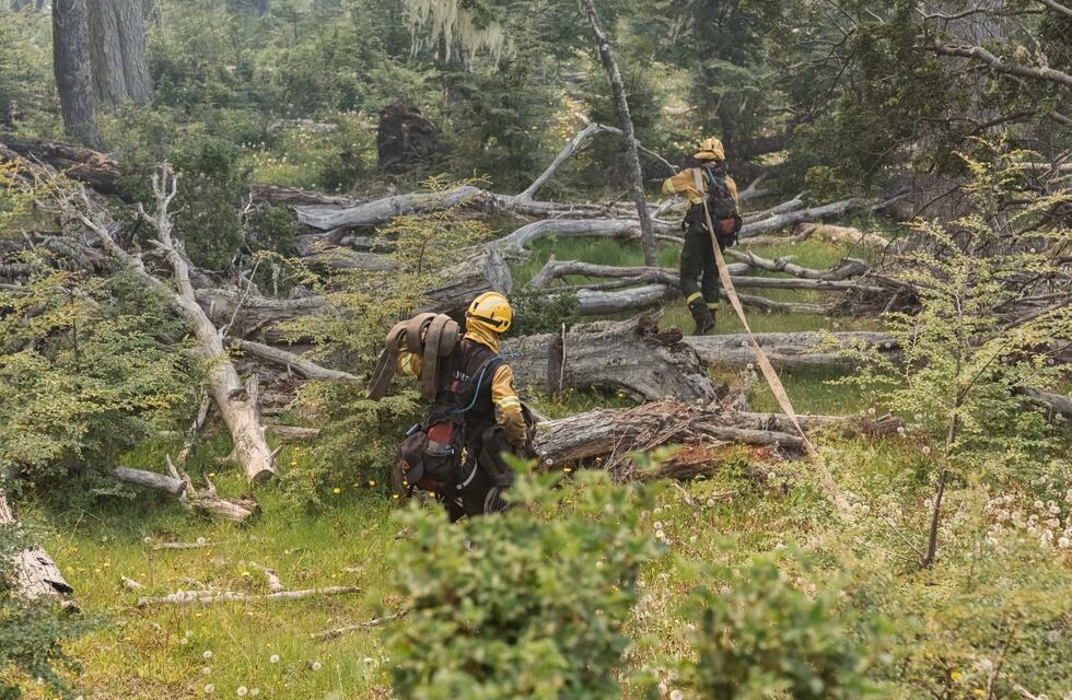 Combatientes luchan por sofocar un nuevo incendio en la ruta 23