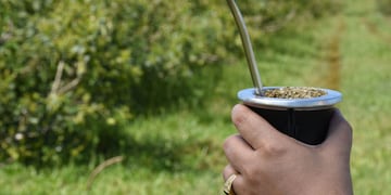 Prohíben en una escuela de Concordia tomar mate.