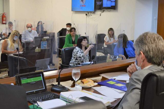 La Cámara de Diputados del Chaco aprobó el proyecto elevado por el Ejecutivo pero sin el aval de la oposición.