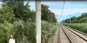 El video del supuesto fantasma.