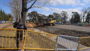 Trabajos para retirar el quebracho de la Padre Luchesse. (La Voz/José Gabriel Hernández)