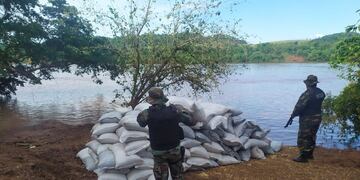 Incautan contrabando de soja ilegal en El Soberbio.