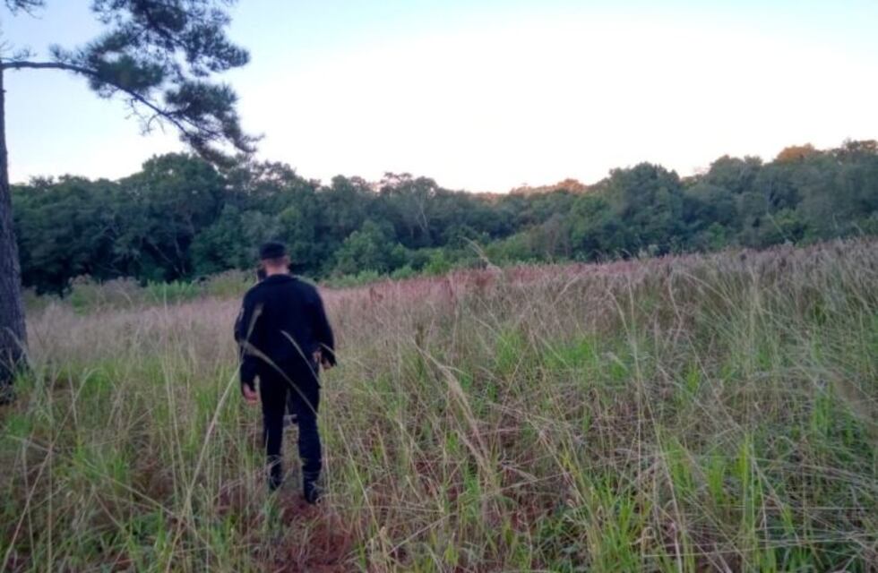 Mártires: Dos jóvenes detenidos por el robo de yerba mate