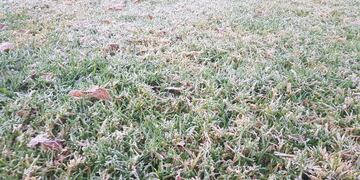 Cuándo llegan y cuánto durarán las bajas temperaturas . (Gentileza)