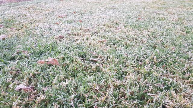 Cuándo llegan y cuánto durarán las bajas temperaturas . (Gentileza)