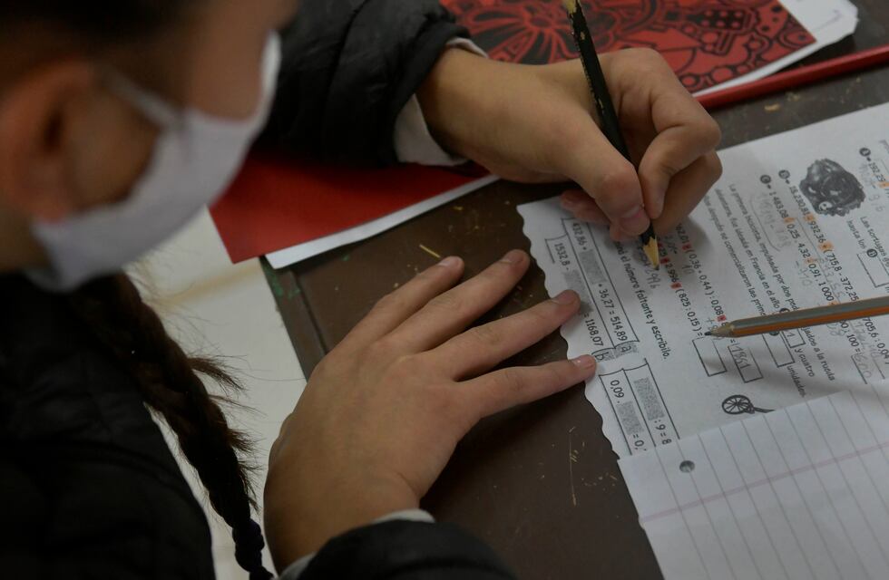 “Bimodal”, sin comedor y con turnos de tres horas, así será la vuelta a clases en Río Negro