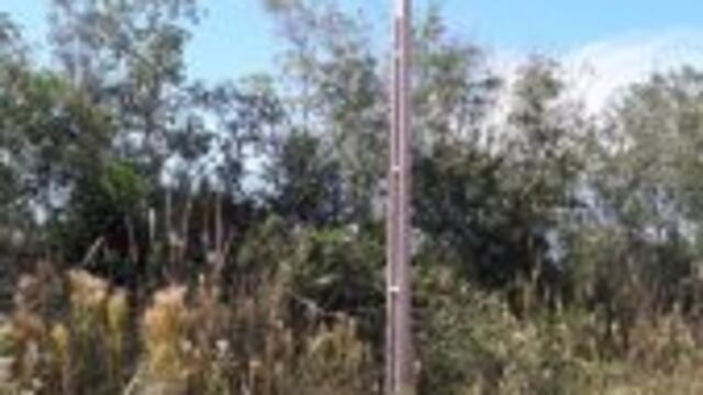 Se realizan trabajos de mejoras en el servicio de energía
