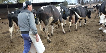 Tambo, actividad del campo golpeada en las subas de los insumos agropecuarios
Foto: Orlando Pelichotti / Los Andes
