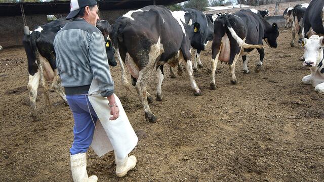 Tambo, actividad del campo golpeada en las subas de los insumos agropecuarios
Foto: Orlando Pelichotti / Los Andes