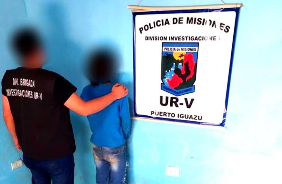 Varios detenidos por diversos ilícitos en la zona Norte provincial