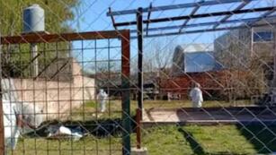 Horror: encontraron enterrado el cuerpo de una mujer en el patio de su casa y sospechan de su hija de 15 años