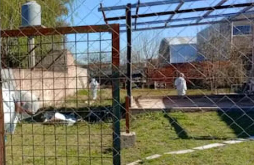 Horror: encontraron enterrado el cuerpo de una mujer en el patio de su casa y sospechan de su hija de 15 años