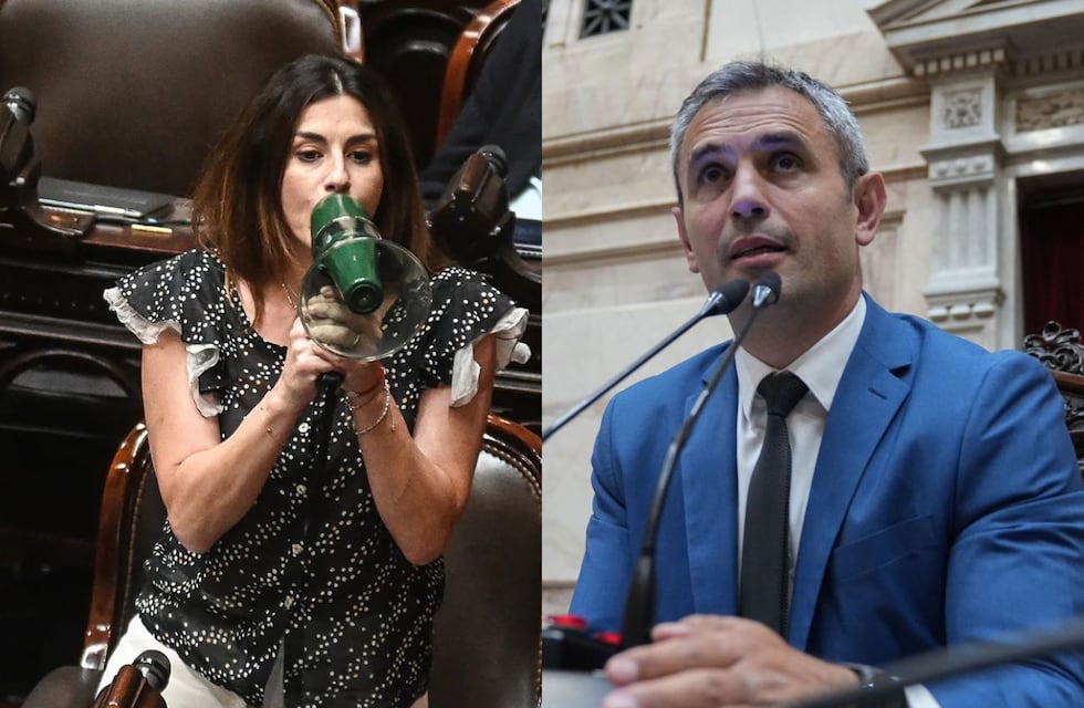 Marcela Pagano cargó contra Martín Menem: “No tiene hombría, que me diga en la cara lo que piensa de mí”