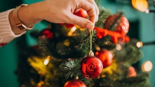 Adiós al Árbol de Navidad: el nuevo adorno que es furor en los departamentos.
