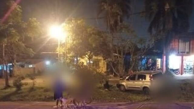 Ebrio, despistó e impactó contra un árbol en Puerto Iguazú.