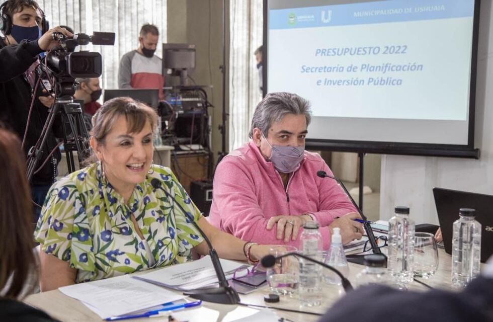 Se anunció la construcción del puente Perito Moreno