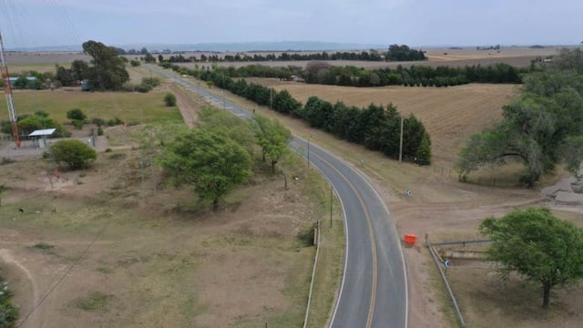 Córdoba. El hombre transitaba por la vieja ruta 36, vio un lamentable hecho que terminó en un noble gesto.