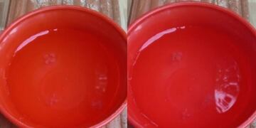 Confirman la presencia de “aguas vivas” en un arroyo de Colonia Aurora.