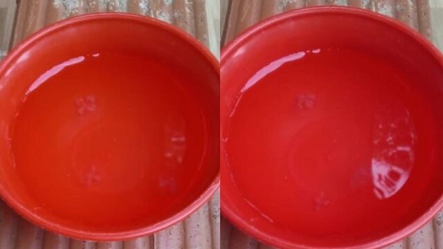 Confirman la presencia de “aguas vivas” en un arroyo de Colonia Aurora.