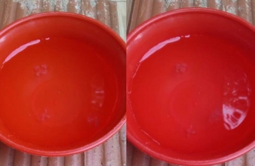 Confirman la presencia de “aguas vivas” en un arroyo de Colonia Aurora